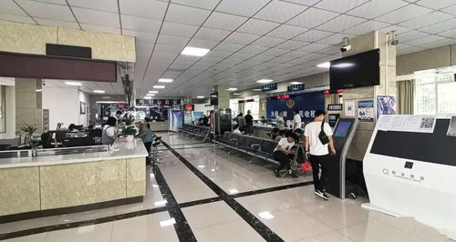 略陽(yáng)創(chuàng)新互聯(lián)網(wǎng)政務(wù)服務(wù) 助力企業(yè)和群眾辦事‘最多跑一次’