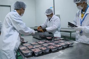 把豬肉自由還給南京人，南京蘇寧菜場助力市民貼秋膘